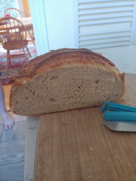 Image description: loaves of bread. They all look pretty good. But they could be better.