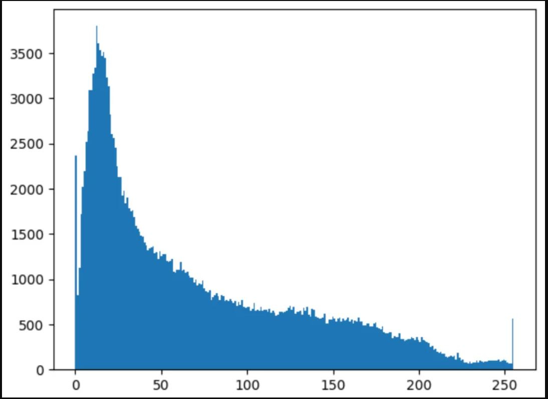 Figure 4.3 – Histogram of pixel values