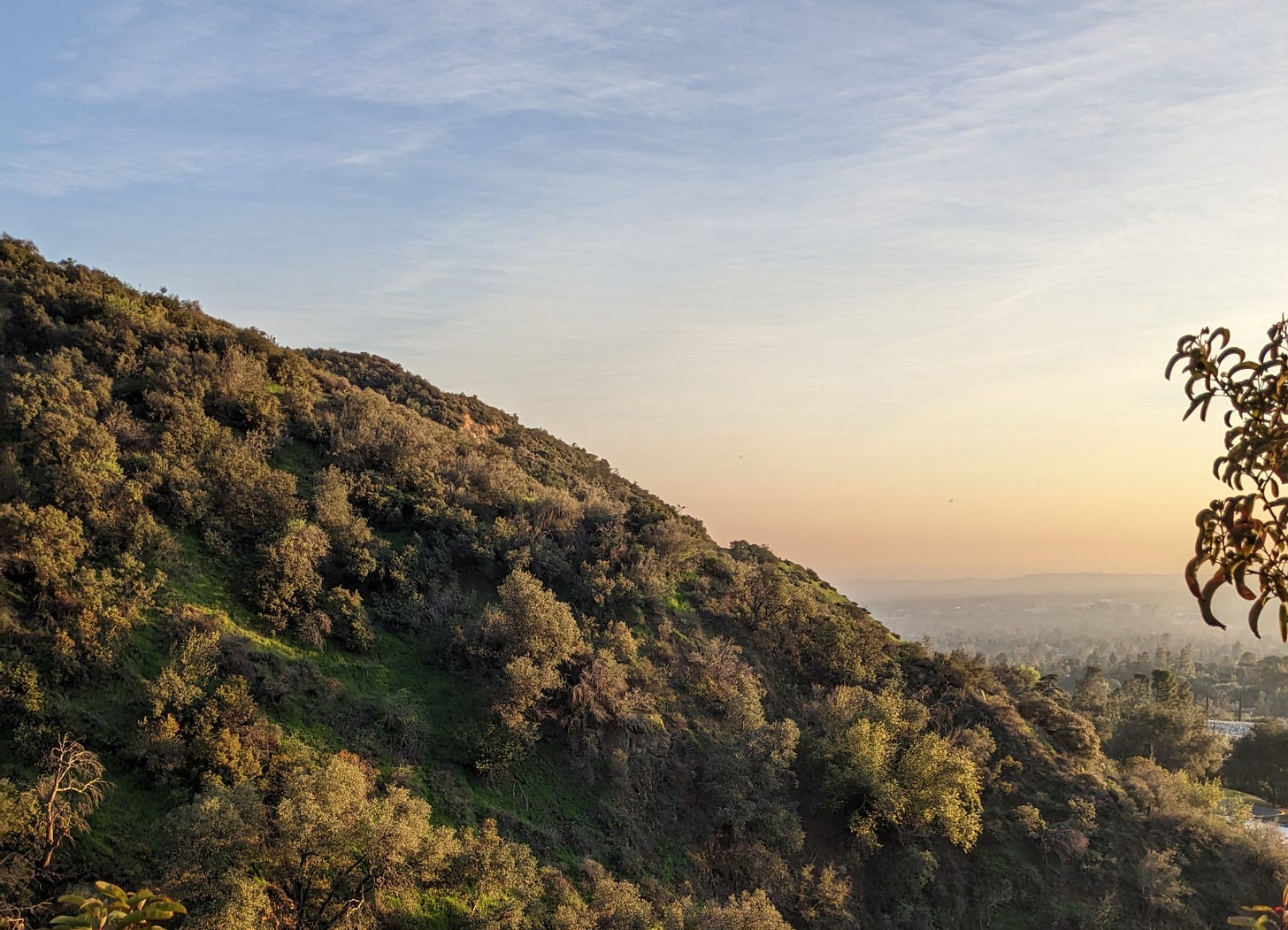 Photograph of a soft sunset over a green mountain full of flora. A city and more mountains are visible in the background.