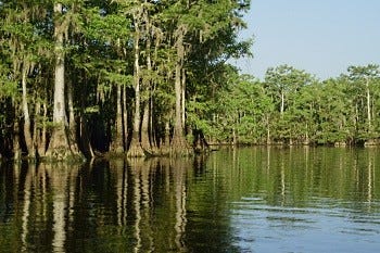 Pee Dee River Pee Dee River