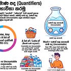 13: Quantifiers (සරලව ප්‍රමාණ පැවසීම - Many, Much, Some, Any, A lot)