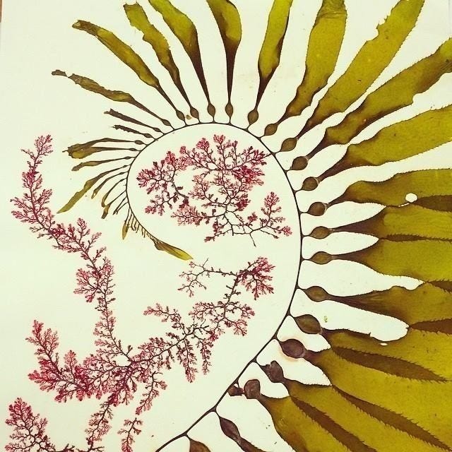 Artwork for Observatory