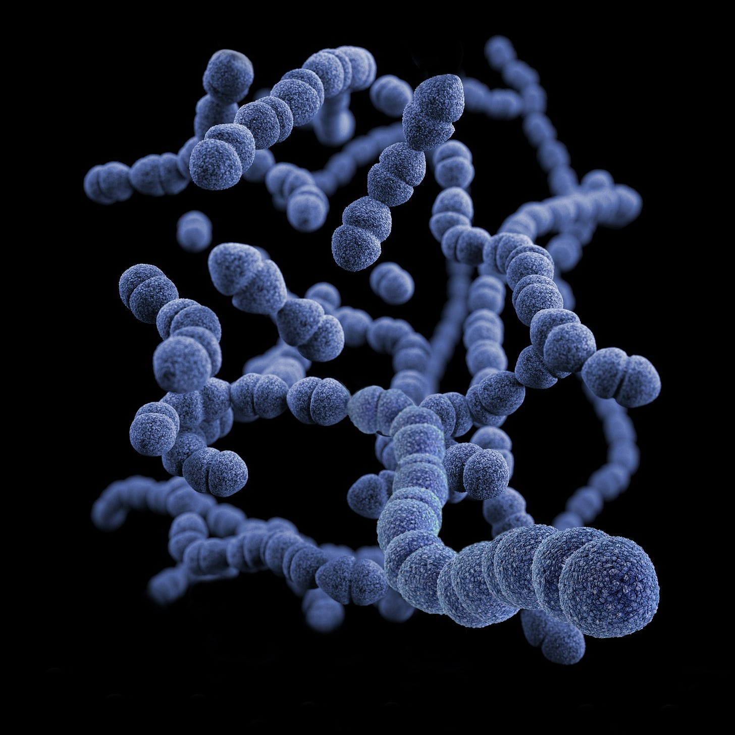 This illustration depicted a three-dimensional (3D), computer-generated image, of a group of Gram-positive, Streptococcus pneumoniae bacteria. The artistic recreation was based upon scanning electron microscopic (SEM) imagery. This illustration depicted a three-dimensional (3D), computer-generated image, of a group of Gram-positive, Streptococcus pneumoniae bacteria. The artistic recreation was based upon scanning electron microscopic (SEM) imagery.