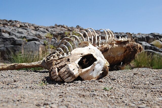 Opposition Research Is Dead