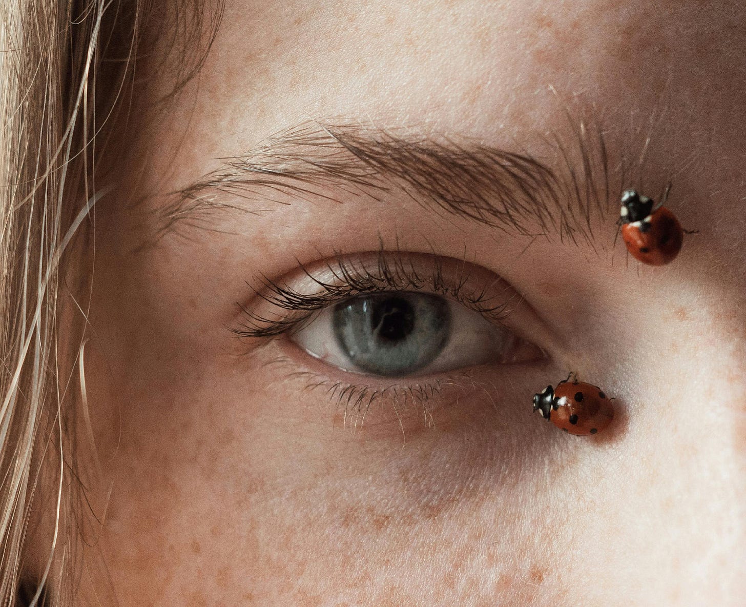 A close up of a woman's eye with two ladybirds crawling close to the eye.