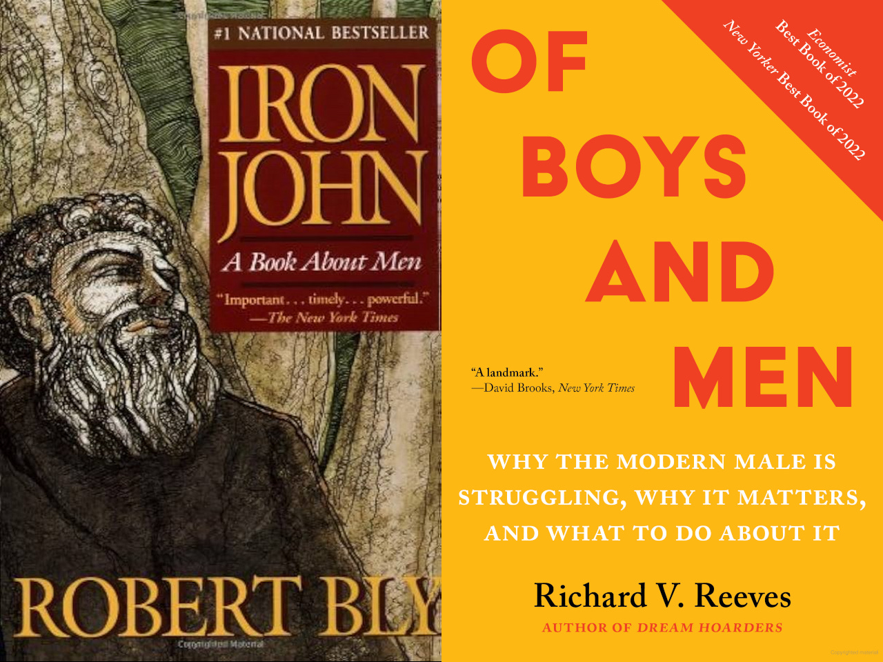 Two book covers: Iron John by Robert Bly; Of Boys and Men by Richard Reeves