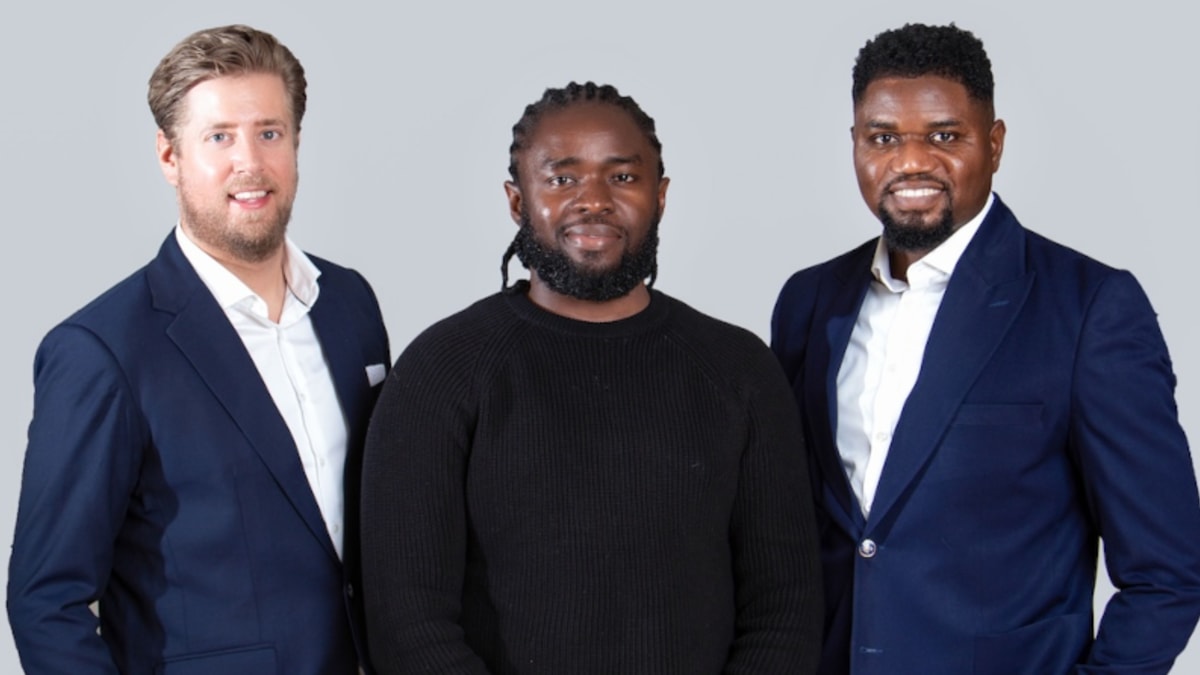AfricInvest leads growth round in BFREE
