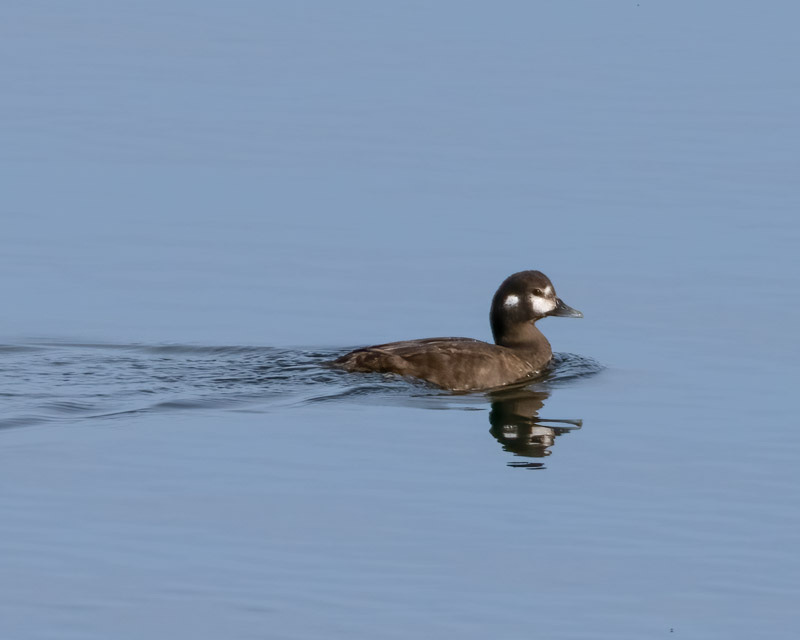 20250610-SJI-340-Edit.jpg 20250610-SJI-340-Edit.jpg