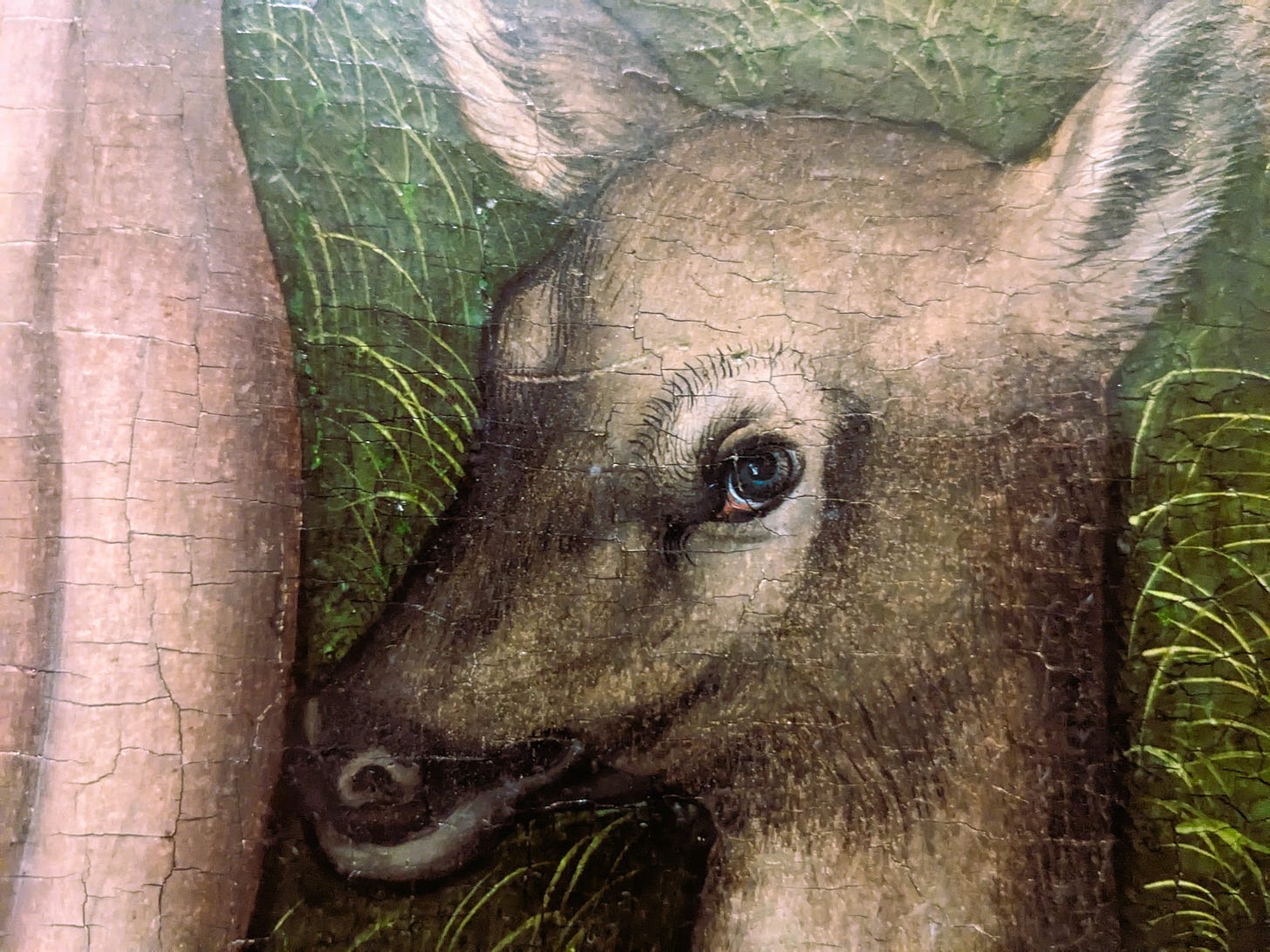 Close-up of a painting of a deer

Description automatically generated