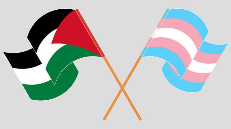 Trans Liberation and Palestine | The Forge Trans Liberation and Palestine | The Forge