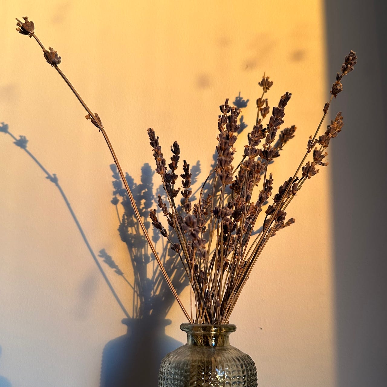 Now that's a thought