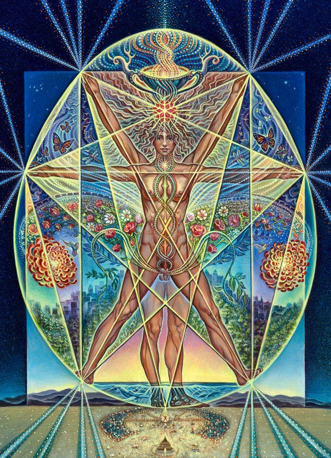 Vitruvian HUman – Amanda Sage Collection