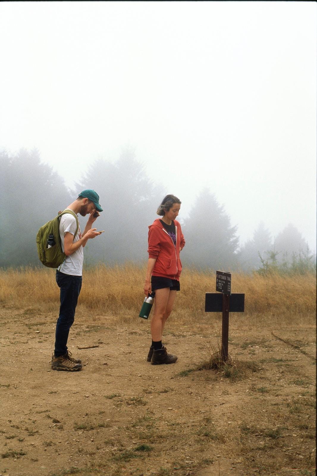 Two people standing in a meadow in the fog. One looks at a trail sign while the other looks their phone. Two people standing in a meadow in the fog. One looks at a trail sign while the other looks their phone.