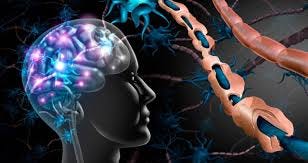 amyotrophic lateral sclerosis ...