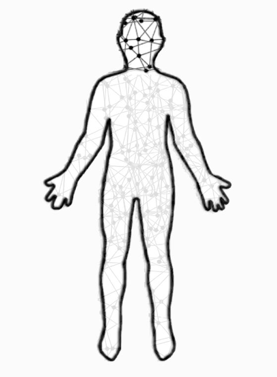 a human body with a graph network inside, network in the head is stronger than network in the body because it's cut off