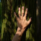 Ecospirituality Is Not What You Think