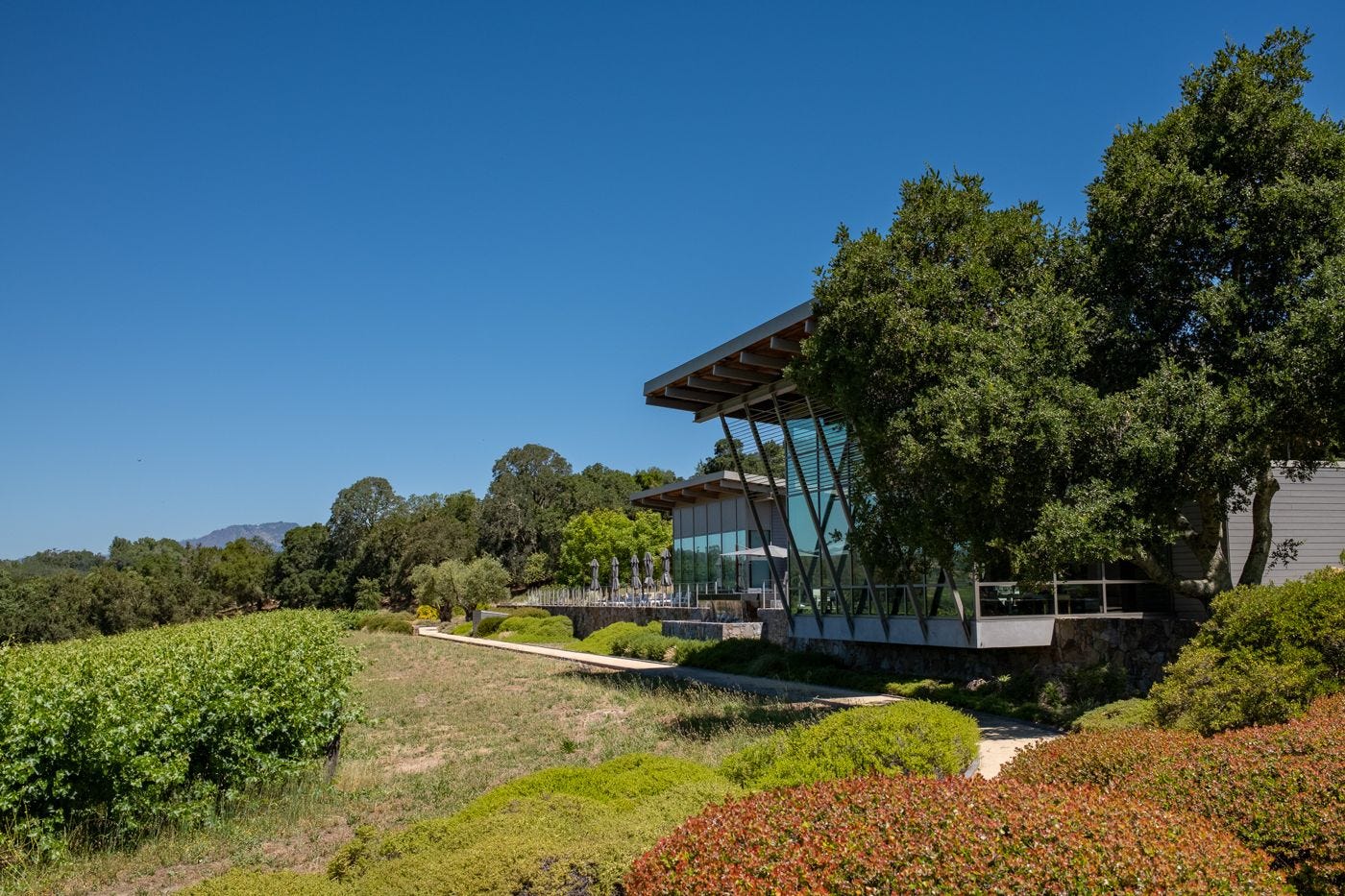 Hamel Family Wines estate above the vineyards in Sonoma Valley