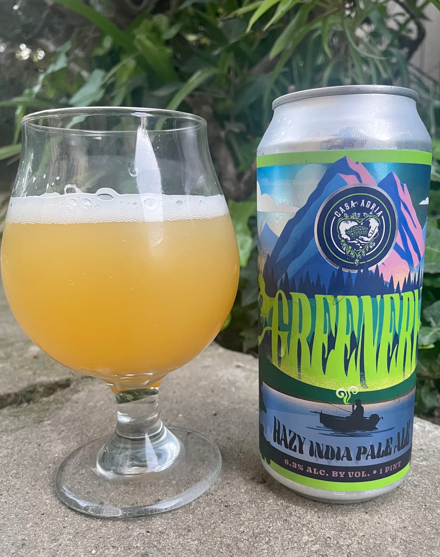 A full glass of Casa Agria "Greenery" IPA with the can next to it A full glass of Casa Agria "Greenery" IPA with the can next to it