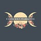 Conscious Narrative