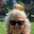 Susan's avatar