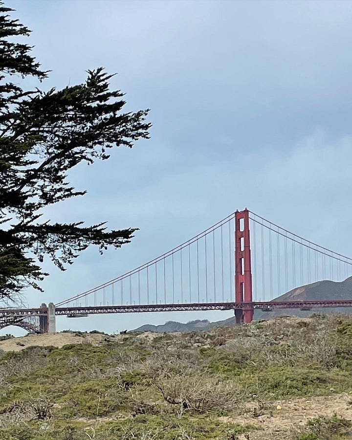 San Francisco by Sabrina Simpson