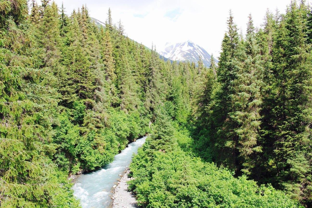 What to Do in Alaska - Camping, Hiking, and Where to Eat What to Do in Alaska - Camping, Hiking, and Where to Eat