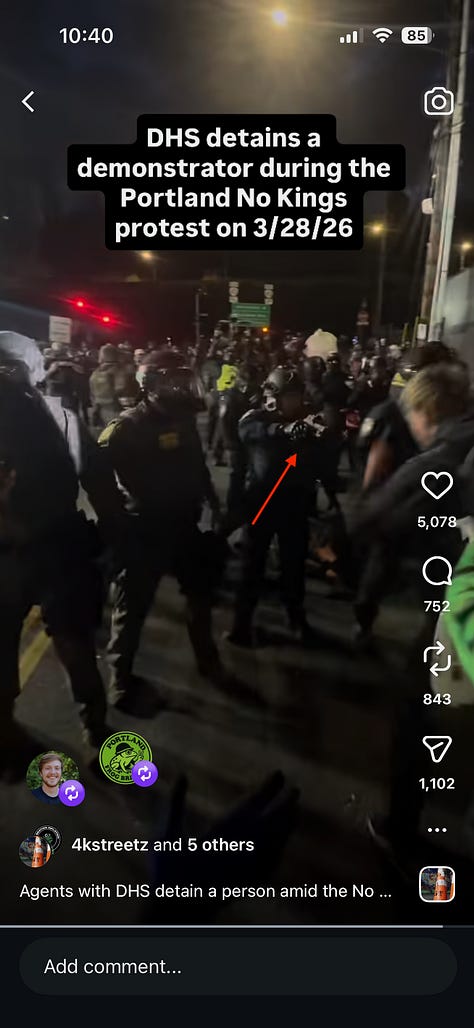 9 screen grabs from video showing ICE agents pursuing, hitting, and detaining protester in pink frog costume. The last three images show agent brandishing gun at bystanders.