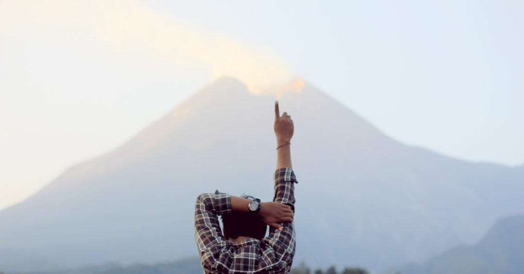 brown and white flannel shirt