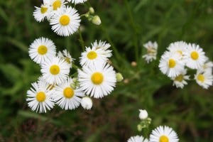 IMG_0069 IMG_0069