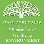 Peace Overtures - AMP Films for balance & peace of mind