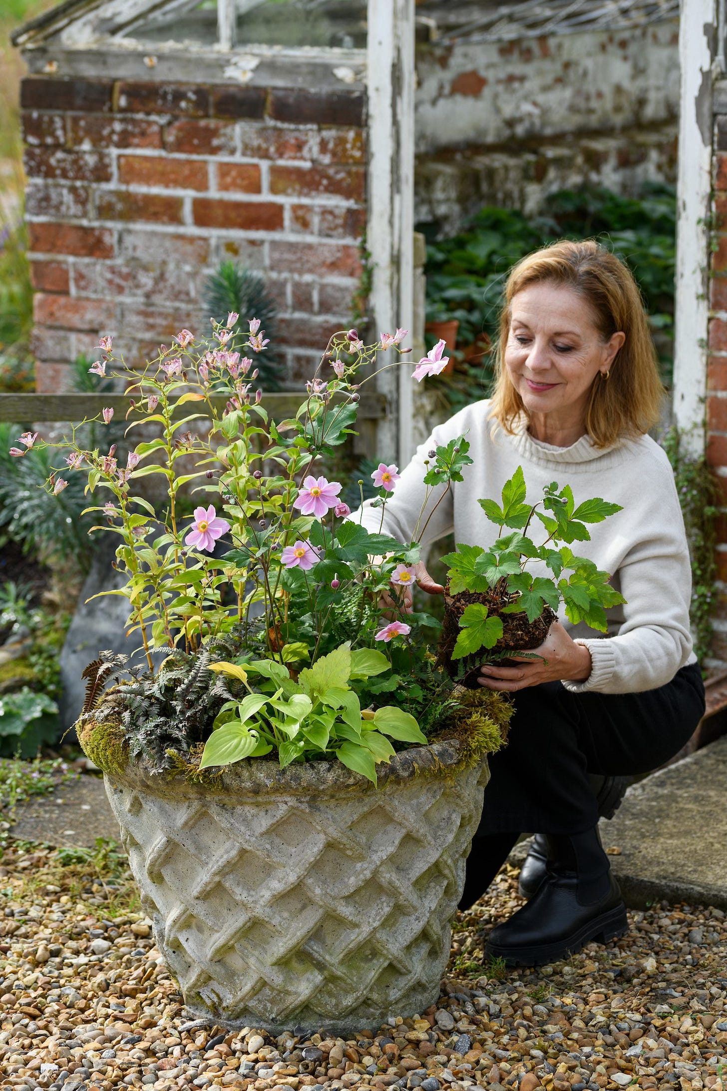 Plant Portrait: Japanese anemones in the autumn garden