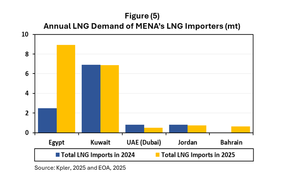 Annual Review of the Global LNG Market in 2025 and Outlook for 2026