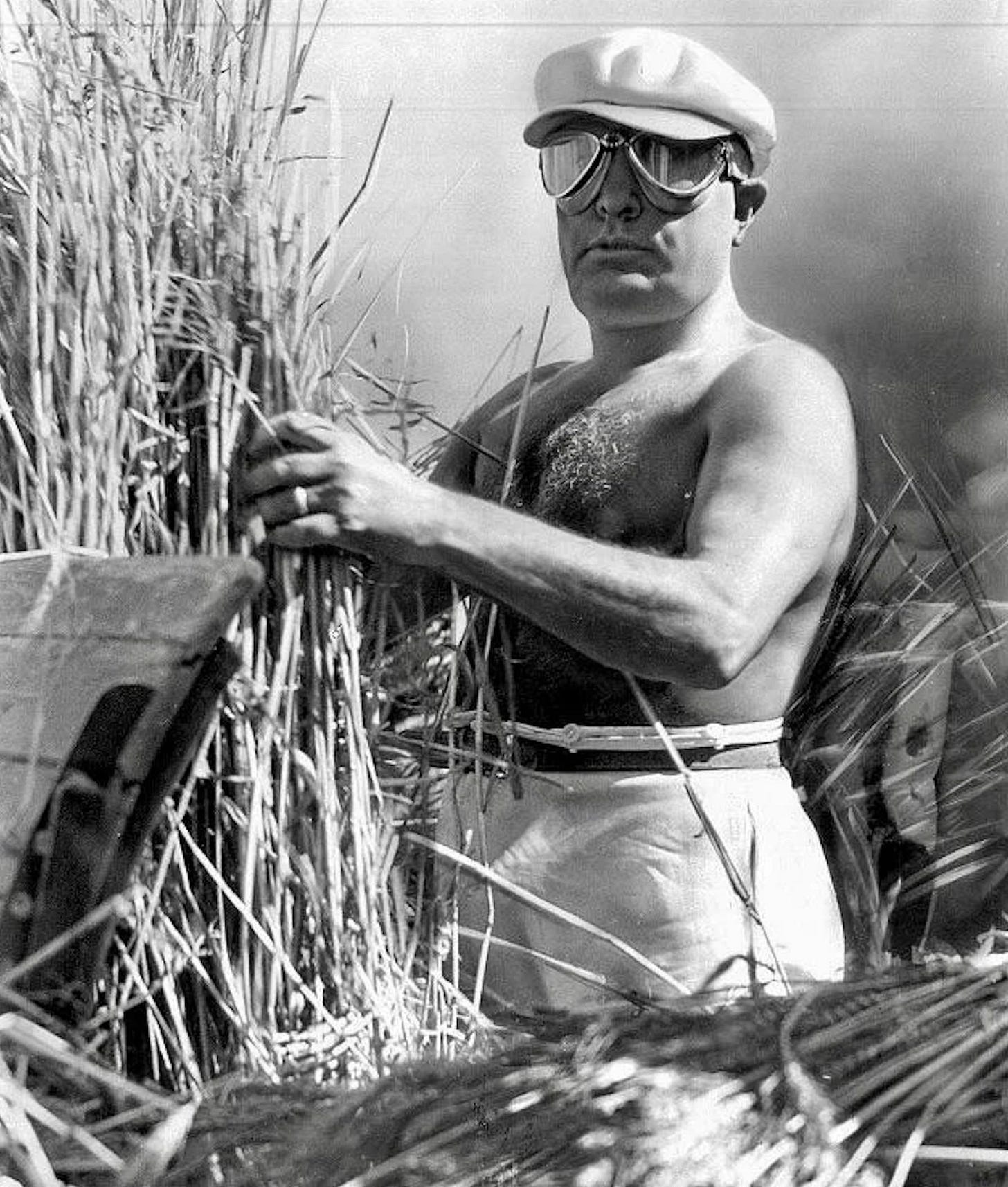 Benito Mussolini in a staged propaganda photo, 'harvesting' wheat in 1938, symbolizing his regime's self-sufficiency efforts. Benito Mussolini in a staged propaganda photo, 'harvesting' wheat in 1938, symbolizing his regime's self-sufficiency efforts.