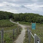 Charges dropped in Little Mud arrests