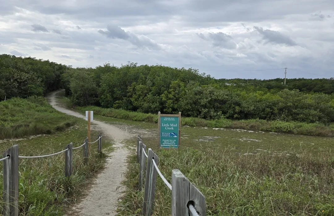 A sandy path bordered by wooden posts and rope leads toward dense green vegetation at the Little Mud Creek Beach access point under a cloudy sky.