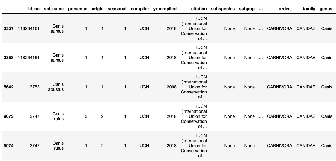 The first five records for the genus search Canis - the closest relatives to dogs.