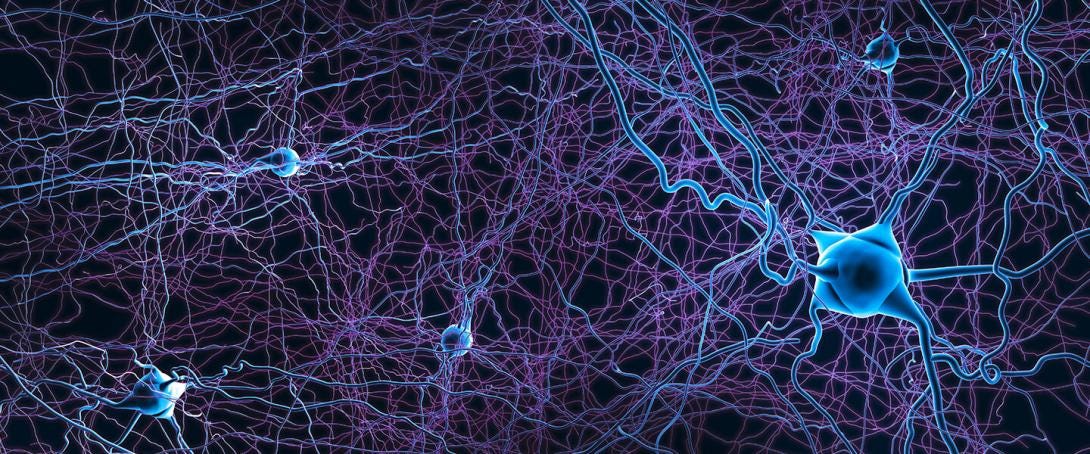 Study Finds Patterns of Brain Atrophy in Schizophrenia Converge on a Common  Functional Brain Network | Brain & Behavior Research Foundation