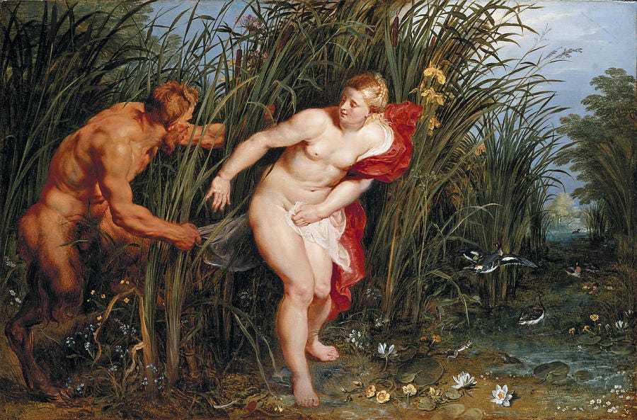 Marsh scene with towering reeds where a nude Syrinx twists to flee as Pan lunges from the thicket; red drapery flashes at her shoulder, ducks burst from water, white lilies dot the foreground, and a narrow channel leads to a blue-grey horizon. Marsh scene with towering reeds where a nude Syrinx twists to flee as Pan lunges from the thicket; red drapery flashes at her shoulder, ducks burst from water, white lilies dot the foreground, and a narrow channel leads to a blue-grey horizon.