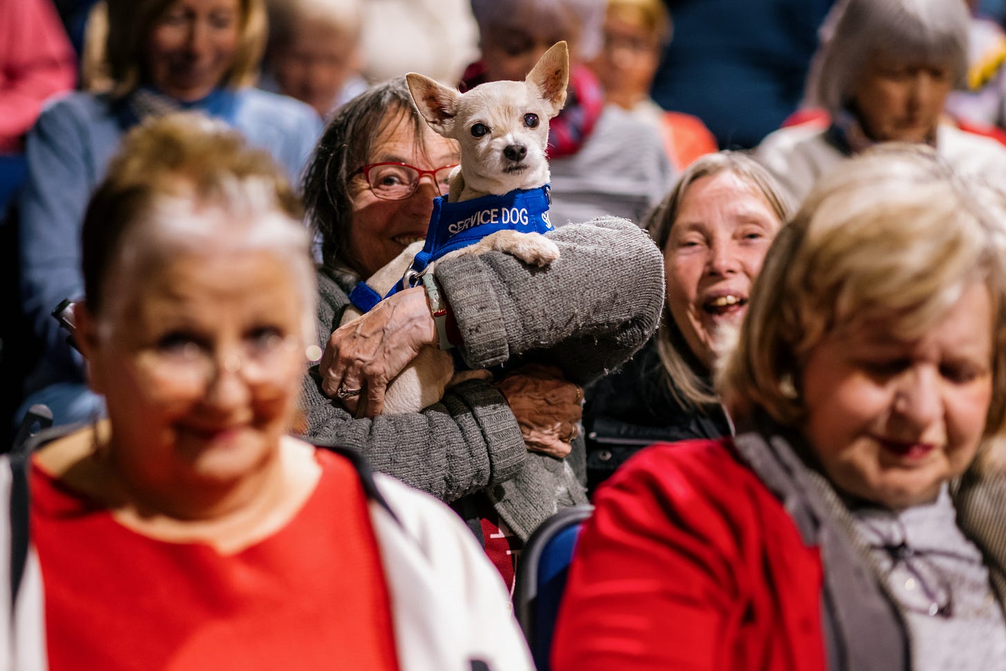 Connect Community choir with service dog