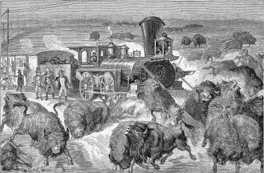 Source: Shooting buffalo from the trains of the Kansas Pacific Railroad. Library of Congress. Source: Shooting buffalo from the trains of the Kansas Pacific Railroad. Library of Congress.