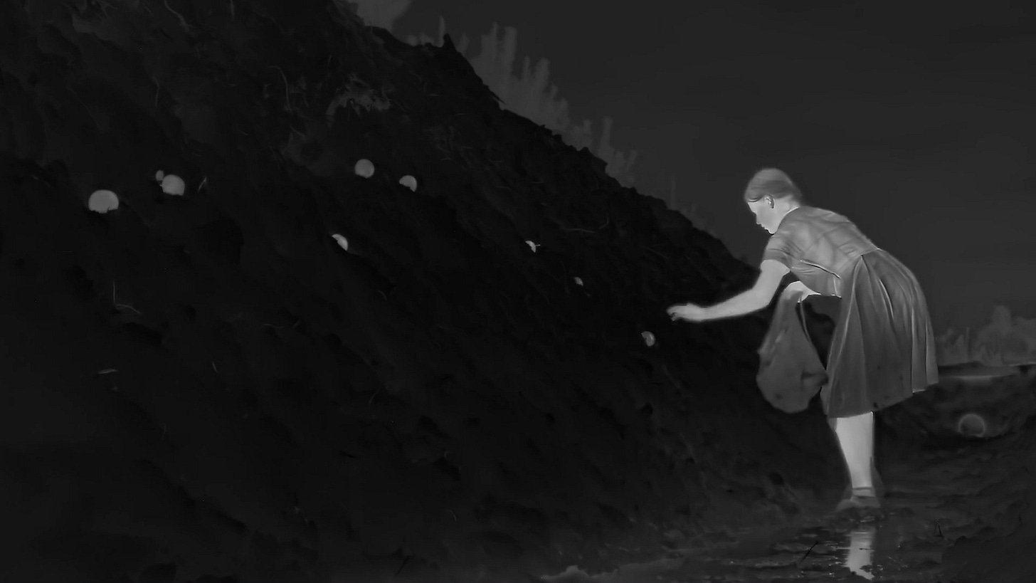 The Zone of Interest" Review: The Calm After the Storm - Scraps from the  loft