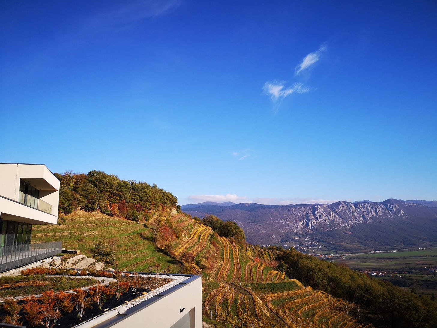 Guerila winery, looking out over the Vipava Valley