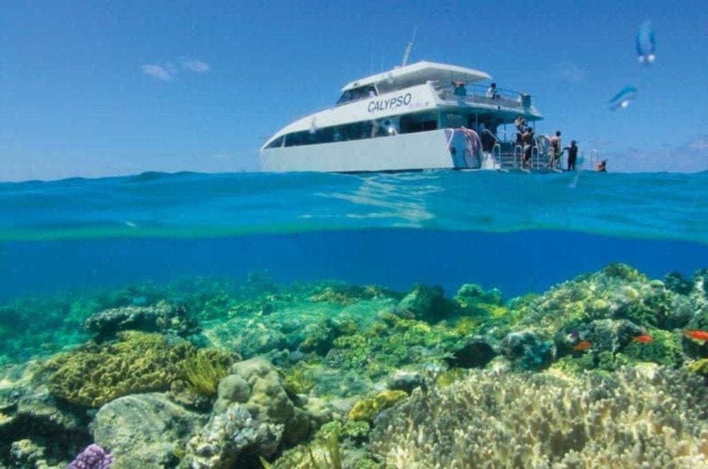 Snorkeling in Port Douglas
