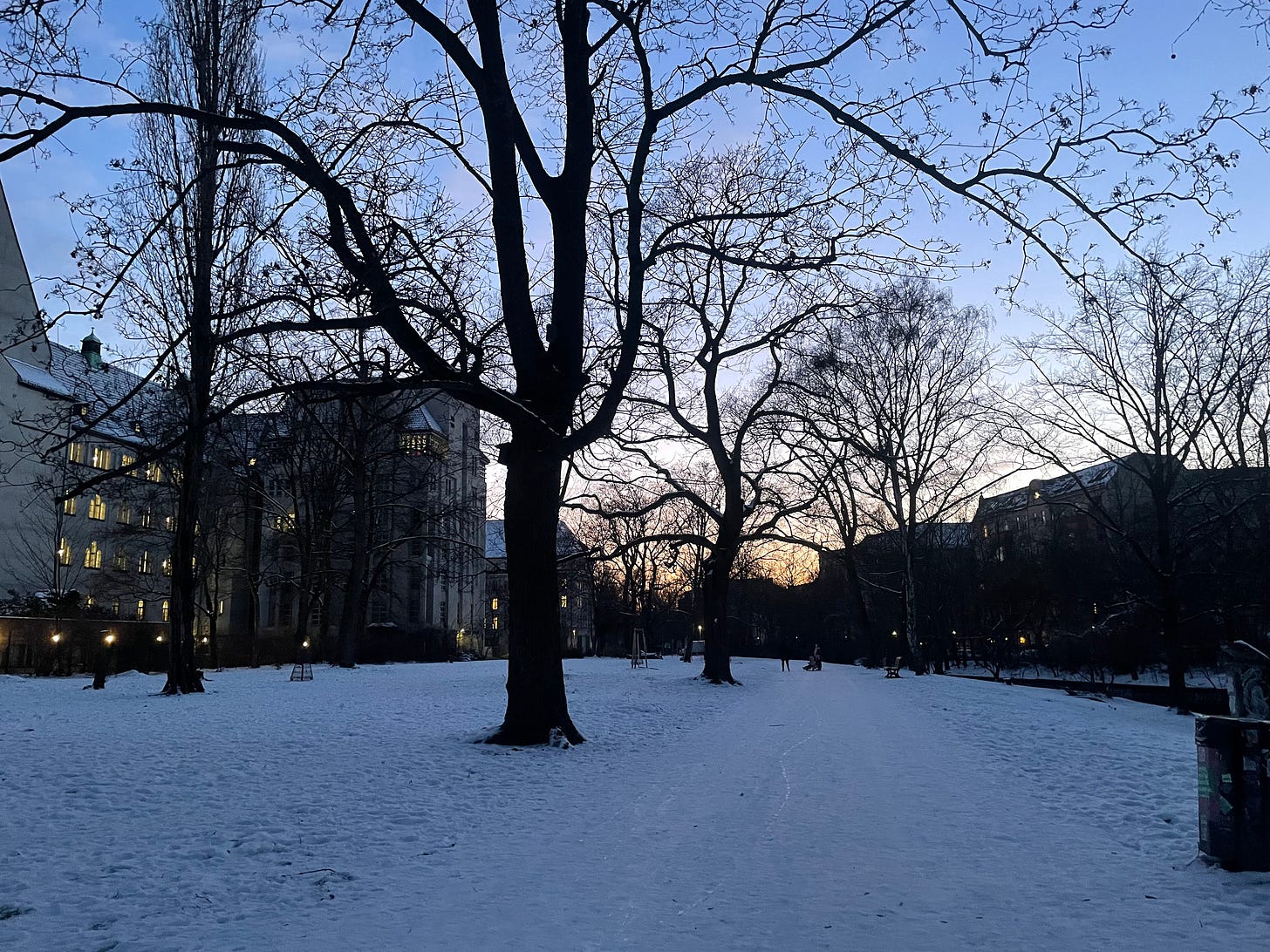 snow-covered park in Berlin, with sunset in the background, visually interrupted by layers of trees spreading their bare branches in silhouette. 
