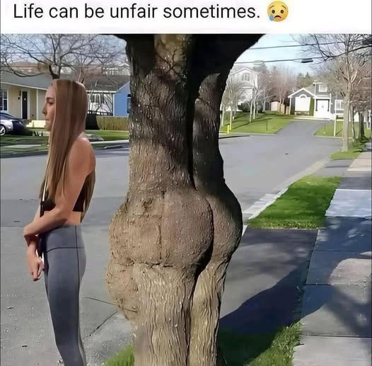 No photo description available.