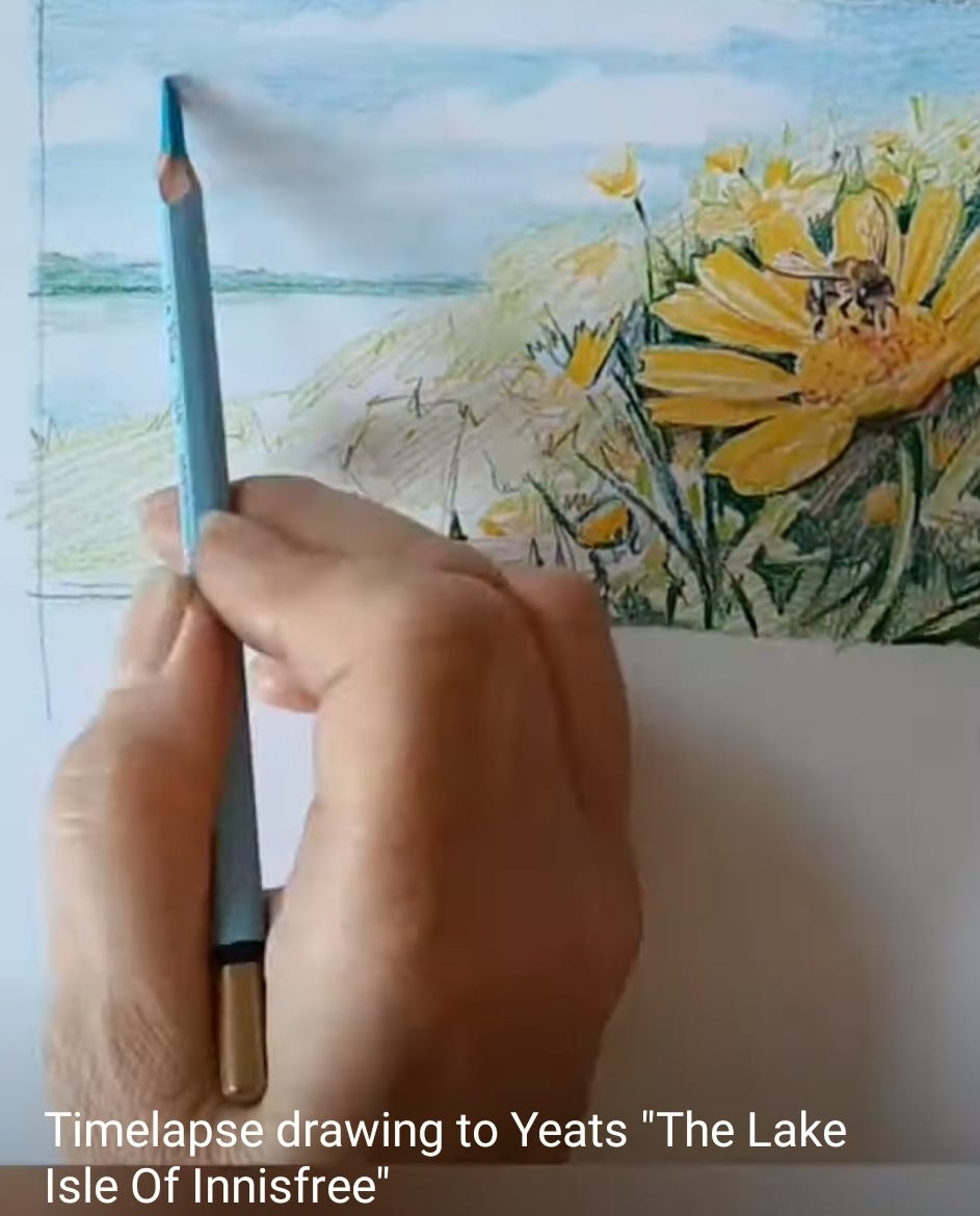 Hand with pencil drawing a bee on a daisy. Click here to hear poem Hand with pencil drawing a bee on a daisy. Click here to hear poem