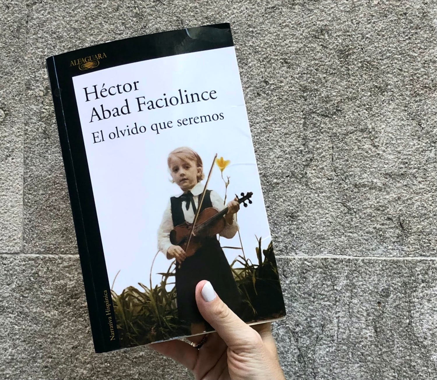 Piratería - Paula Melchor, image size:1500x1306