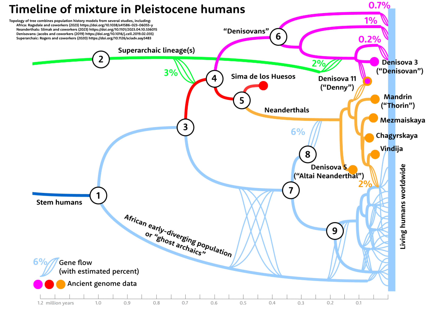 Figure titled Timeline of mixture in Pleistocene humans showing lineages that are defined by DNA evidence including the superarchaic lineage connecting with Neandersovans Figure titled Timeline of mixture in Pleistocene humans showing lineages that are defined by DNA evidence including the superarchaic lineage connecting with Neandersovans