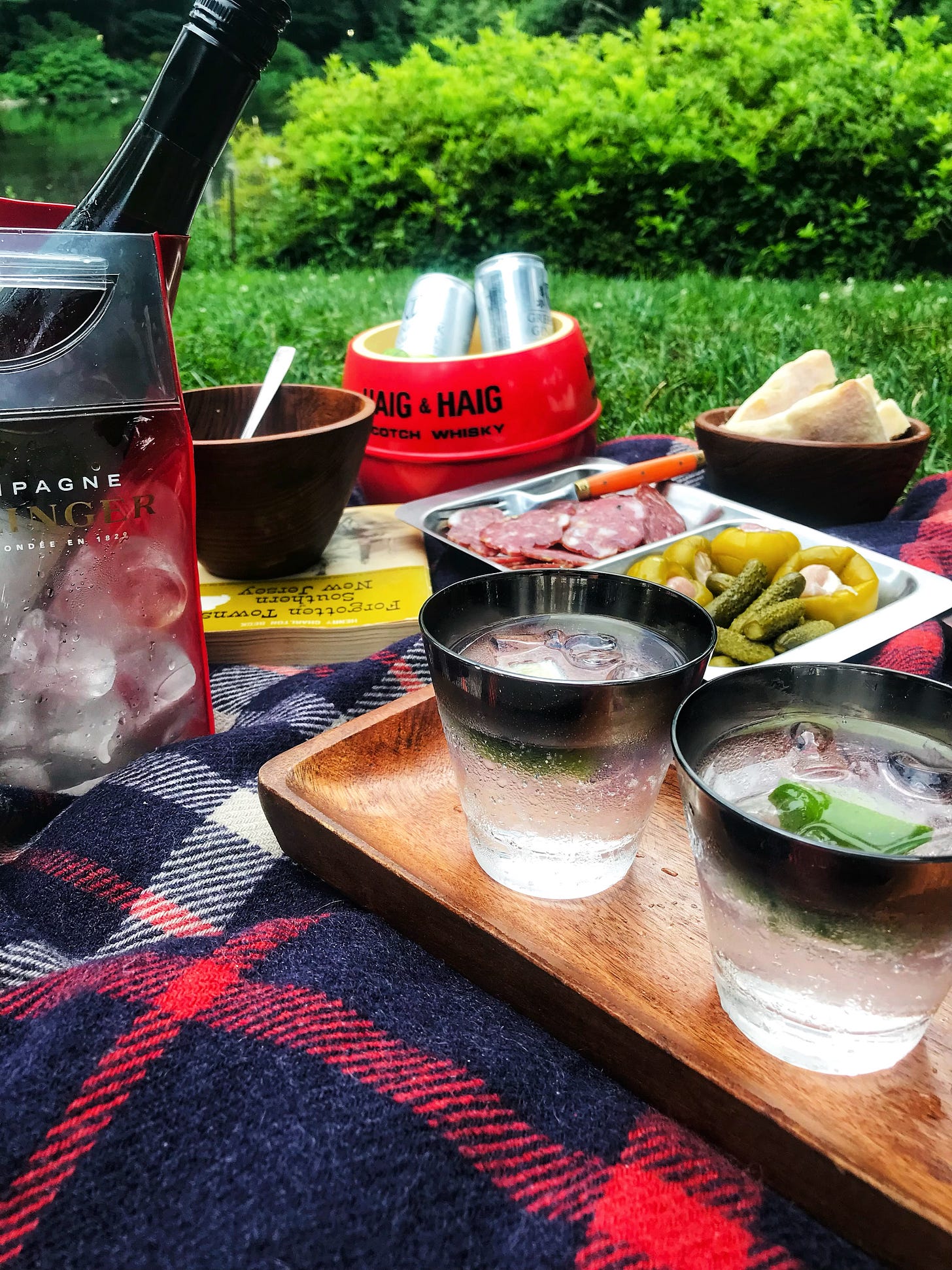 Parkway Picnics - by Mary Kate Murray and Robert Simonson