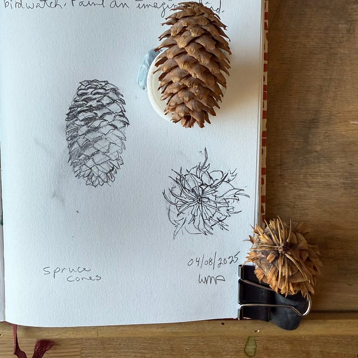Watercolor and pencil sketches